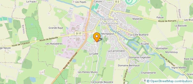 localisation de l'entreprise MAISON DE RETRAITE LA MONTAGNE à CHATILLON-SUR-CHALARONNE