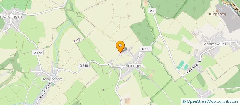 localisation de l'entreprise MAISON DE SANTE DE L'EICHEL  REXINGEN