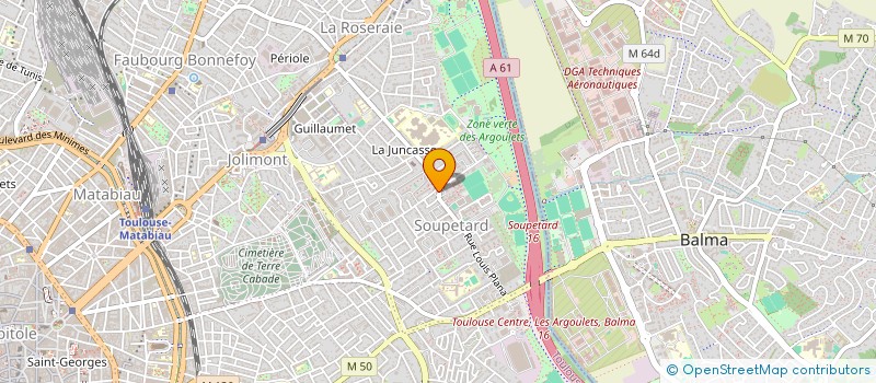 localisation de l'entreprise MAISON DE SANTE DES ARGOULETS  TOULOUSE
