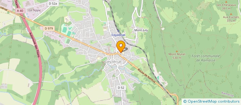 localisation de l'entreprise MAISON DE SANTE PLURIDISCIPLINAIRE DE LA VALLIERE (MSP DE LA VALLIERE) à CEYZERIAT