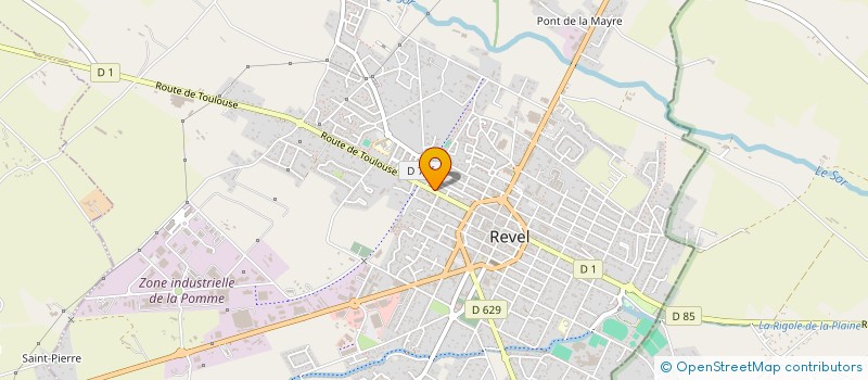 localisation de l'entreprise MAISON DE SANTE PLURIDISCIPLINAIRE DE REVEL  REVEL