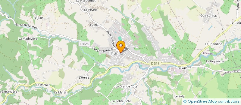 localisation de l'entreprise MAISON DE SANTE PLURIDISCIPLINAIRE DE THURINS  THURINS