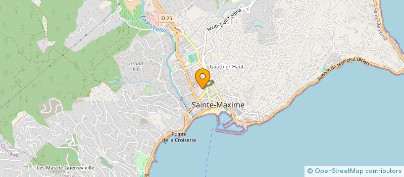 localisation de l'entreprise MAISON DE SANTE PLURIPROFESSIONNELLE SAINTE-MAXIME à SAINTE-MAXIME