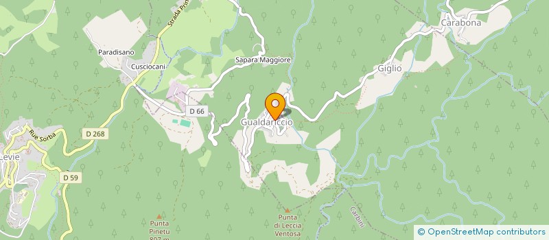 localisation de l'entreprise MAISON DE SANTE RURALE DE LEVIE  LEVIE