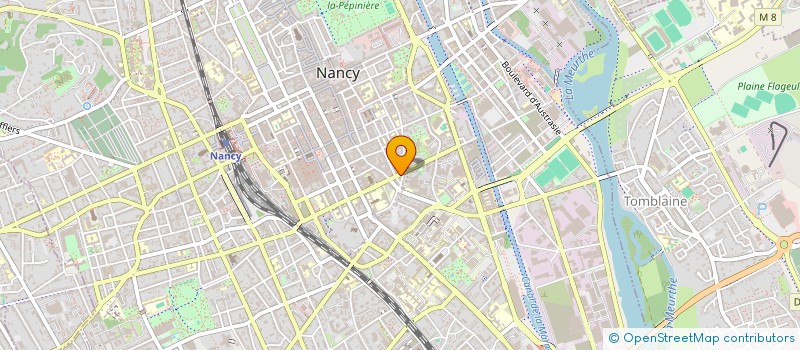 localisation de l'entreprise MAISON DES FEMMES - NANCY  NANCY