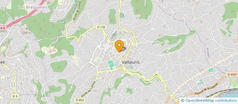 localisation de l'entreprise MAISON DES JEUNES LA CULTURE VALLAURIS  VALLAURIS