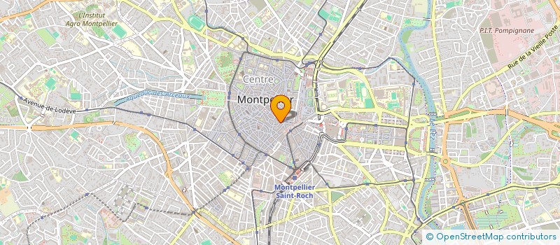 localisation de l'entreprise MAISON FLEURIE à MONTPELLIER