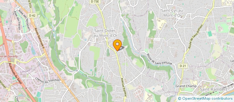 localisation de l'entreprise MAISON MEDICALE DE DECINES  SAINT-DIDIER-AU-MONT-D'OR