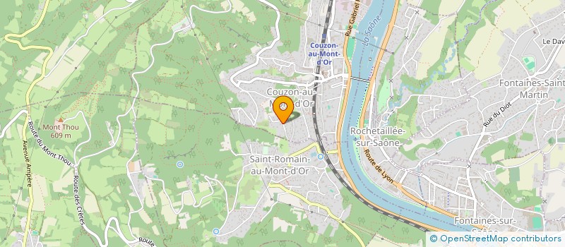 localisation de l'entreprise MAISON NETT & SERVICES  COUZON-AU-MONT-D'OR