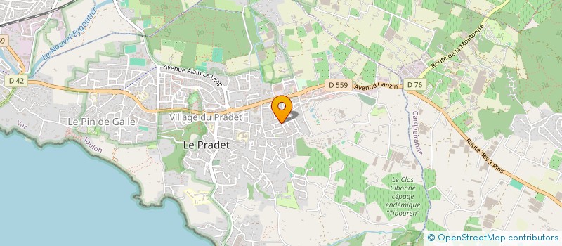 localisation de l'entreprise MAISON PASQUET  LE PRADET