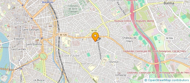 localisation de l'entreprise MAISON VIETNAM à TOULOUSE