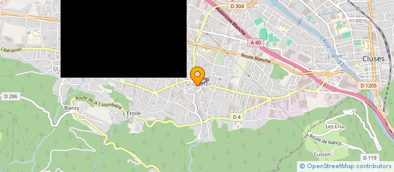 localisation de l'entreprise MALAVI à SCIONZIER