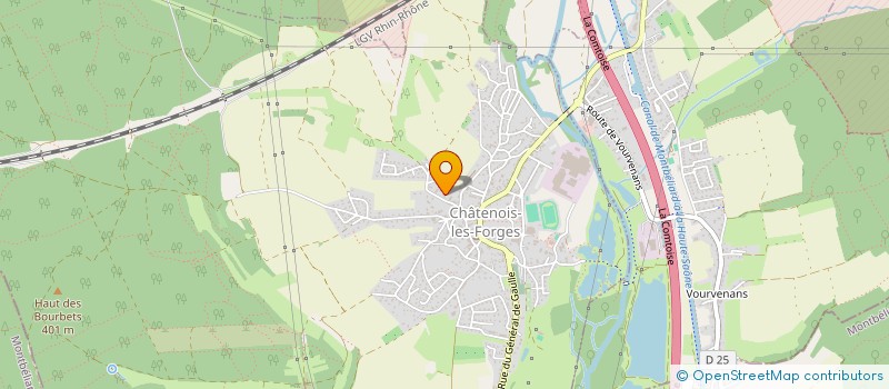 localisation de l'entreprise MAM BIO LES P'TITS CHOUX à CHATENOIS-LES-FORGES