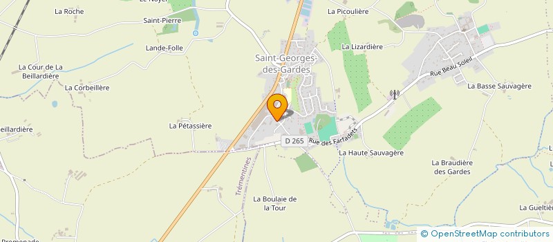localisation de l'entreprise MAM MONTS & MERVEILLES à CHEMILLE-EN-ANJOU