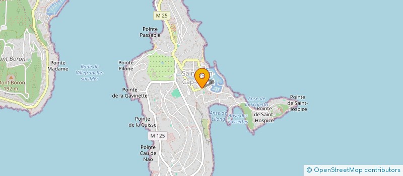 localisation de l'entreprise MANAGEMENT CONSULTING IMMOBILIER  SAINT-JEAN-CAP-FERRAT