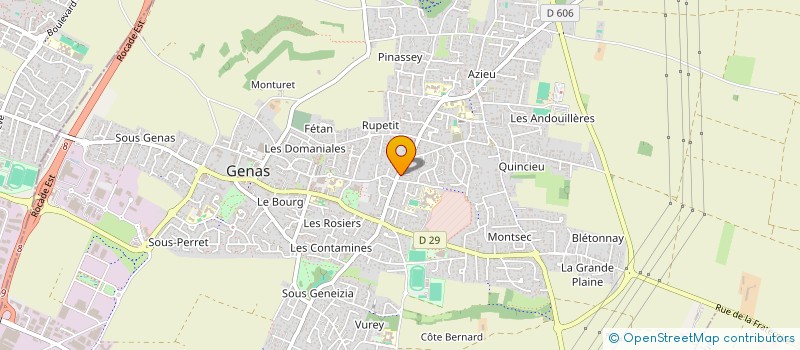 localisation de l'entreprise MANAGEMENT GESTION RELATIONS ET RESSOURCES  GENAS