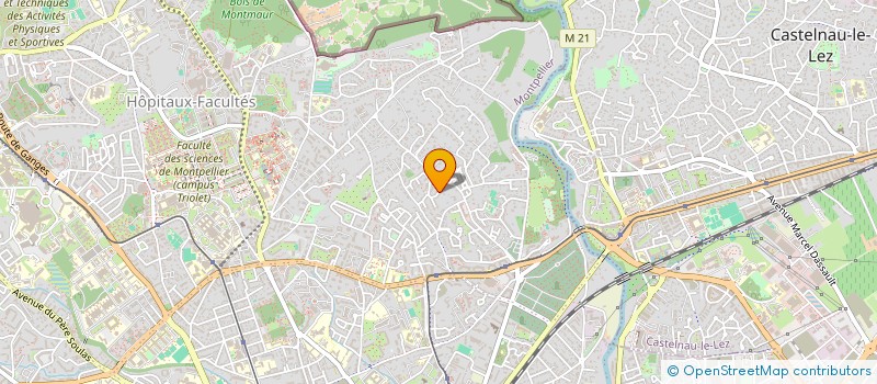 localisation de l'entreprise MANAGETIC SYSTEMES à MONTPELLIER