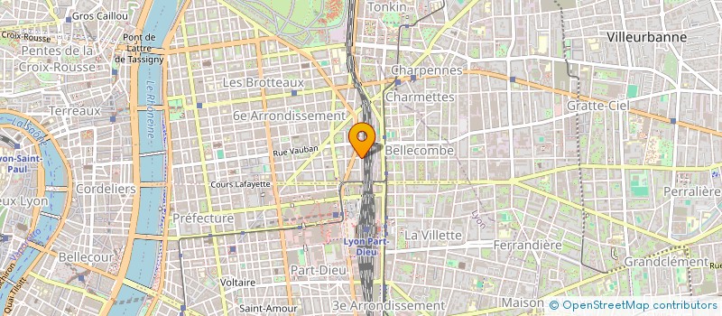localisation de l'entreprise MANAGITECH à LYON