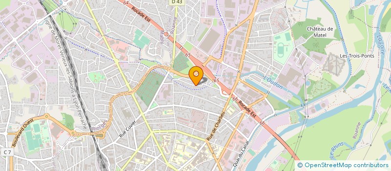 localisation de l'entreprise MANALEX à ROANNE