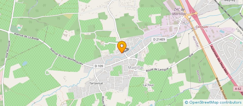 localisation de l'entreprise MANARE à MARTILLAC