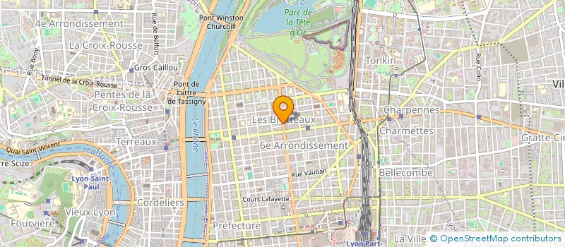 localisation de l'entreprise MANECO à LYON