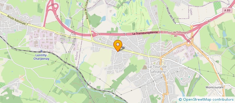 localisation de l'entreprise MANELYO CONSEILS  LA TOUR-DE-SALVAGNY