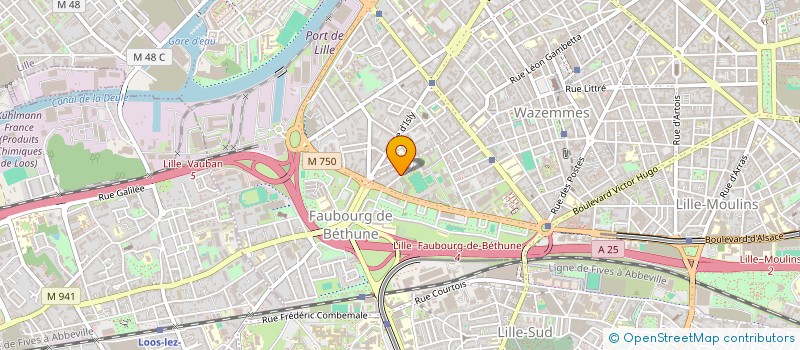 localisation de l'entreprise MANGANESE à LILLE