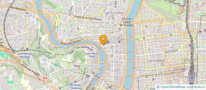 localisation de l'entreprise MANGAS STATION à LYON