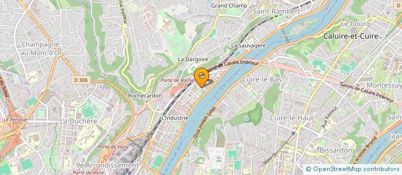 localisation de l'entreprise MANGINI  LYON