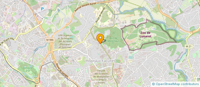 localisation de l'entreprise MANGORA à MONTPELLIER