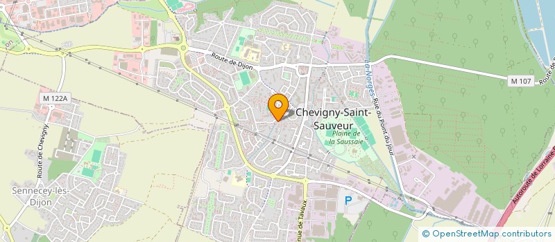 localisation de l'entreprise MANIRODE à CHEVIGNY-SAINT-SAUVEUR