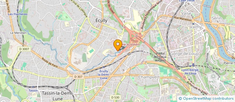 localisation de l'entreprise MANOPRO SERVICES  ECULLY