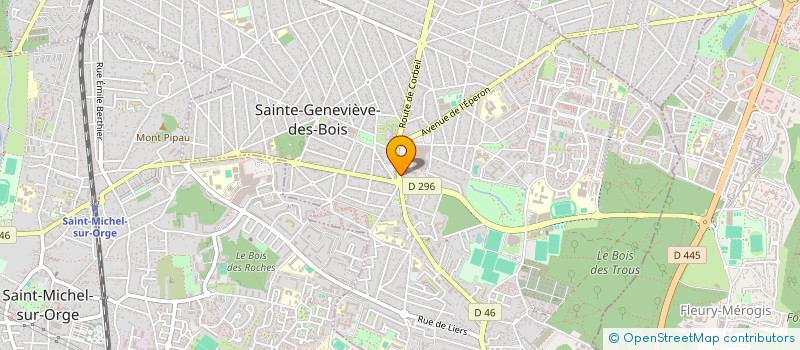 localisation de l'entreprise MANOU SERVICES à SAINTE-GENEVIEVE-DES-BOIS