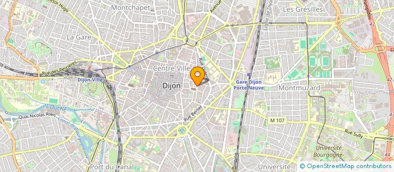 localisation de l'entreprise MAPAMED à DIJON