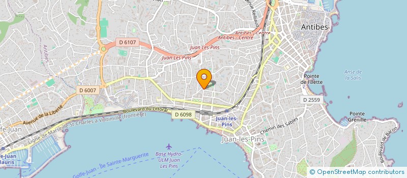 localisation de l'entreprise MAPI à ANTIBES