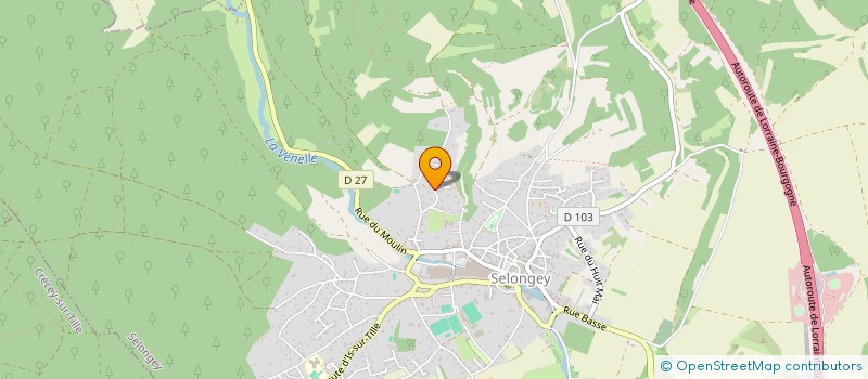 localisation de l'entreprise MARCILLY TAXI  SELONGEY