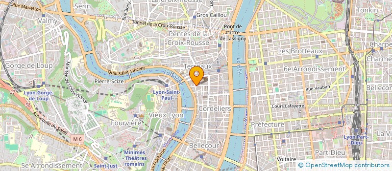 localisation de l'entreprise MARECHAL DISTRIBUTION FRANPRIX à LYON