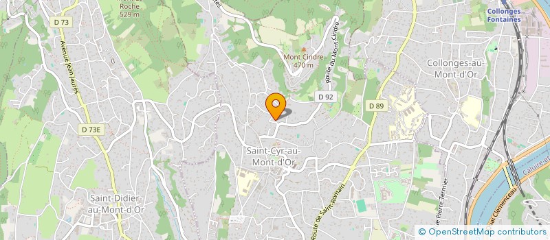 localisation de l'entreprise MARGUERITE BLEUE  SAINT CYR AU MONT D OR