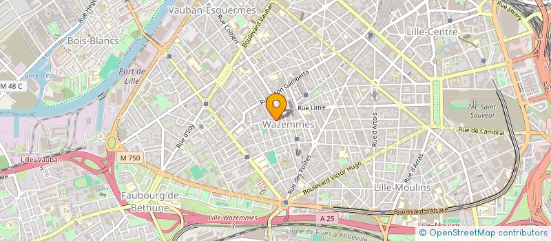 localisation de l'entreprise MARIE DUFOUR COACH SPORTIF ET DIETETICIENNE à LILLE