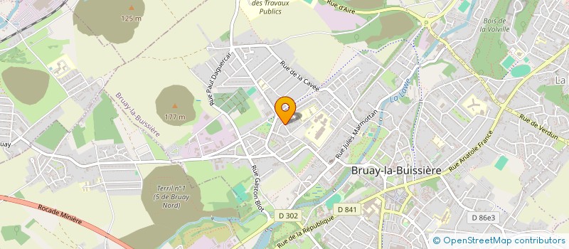 localisation de l'entreprise MARINE ANIM à BRUAY-LA-BUISSIERE