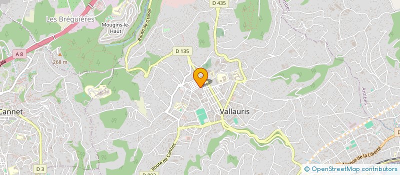 localisation de l'entreprise MARINESCENCE  VALLAURIS