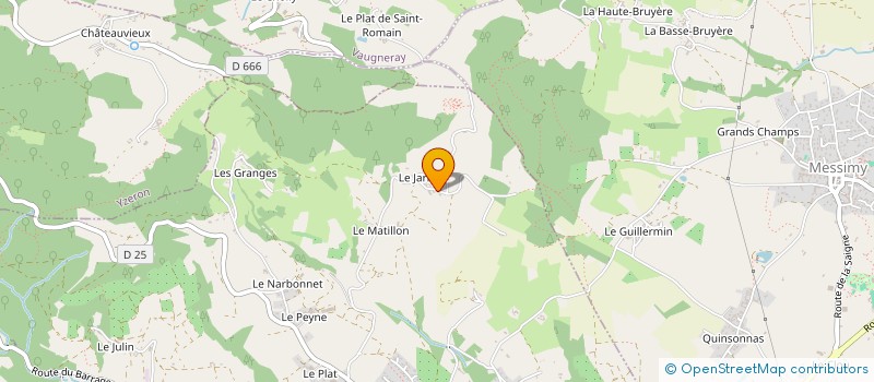 localisation de l'entreprise MARION AMBIS CONSULTING à THURINS