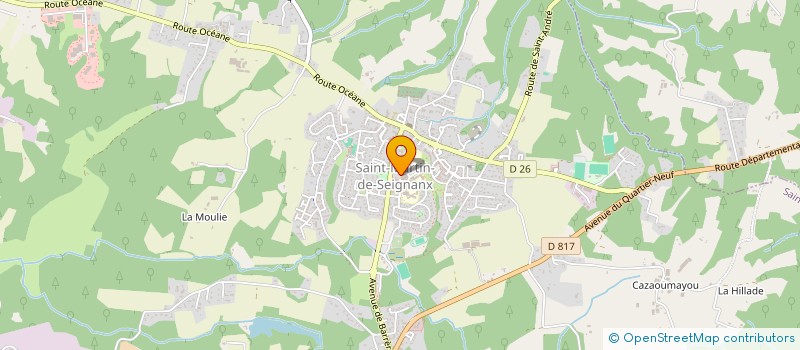 localisation de l'entreprise MARION LES FLEURS  SAINT-MARTIN-DE-SEIGNANX