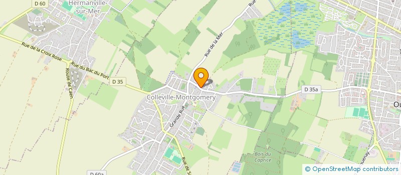 localisation de l'entreprise MARIUS BENCHAT TENNIS DE TABLE  COLLEVILLE-MONTGOMERY