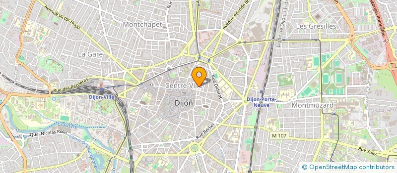 localisation de l'entreprise MARMOTS & MERVEILLES à DIJON