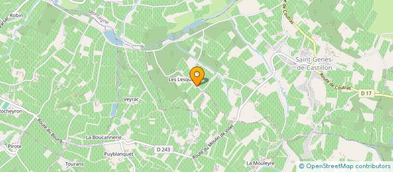 localisation de l'entreprise MARTEGOUTES  SAINT-GENES-DE-CASTILLON