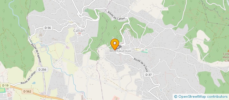 localisation de l'entreprise MARTIN à MONTAUROUX