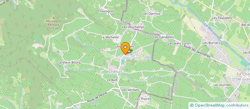 localisation de l'entreprise MARTIN-PEREDES  CHENAS