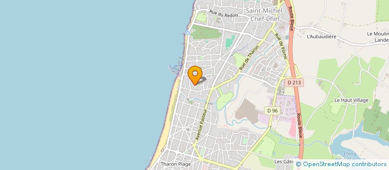 localisation de l'entreprise MARTIN-SAGNE  SAINT-MICHEL-CHEF-CHEF