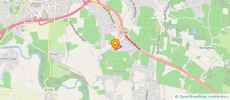 localisation de l'entreprise MARY ET FILS à LES GARENNES SUR LOIRE